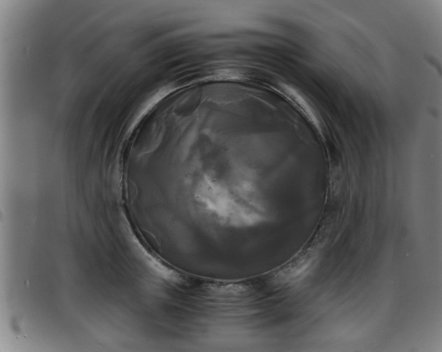 X0000096380851200801311257