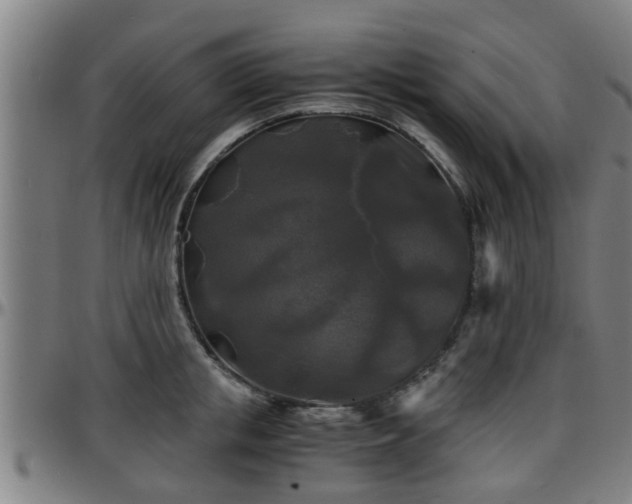 X0000096380853200801311257