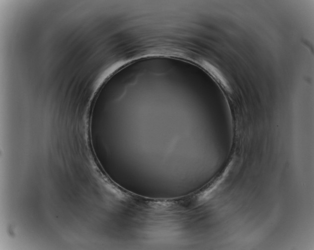 X0000096380854200801311257