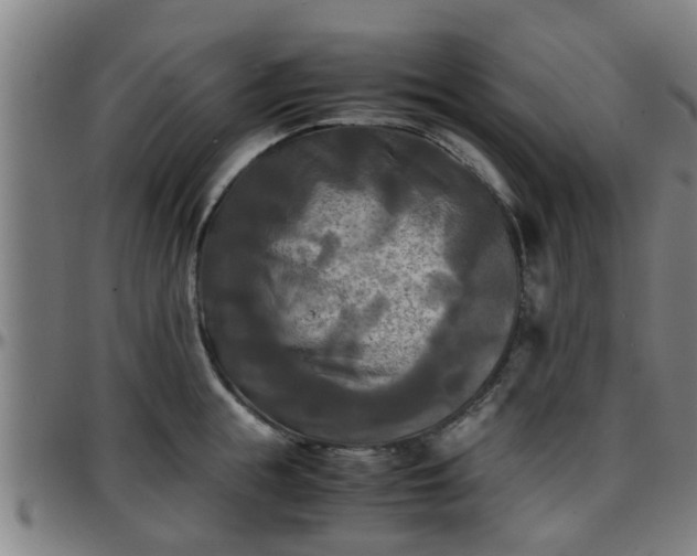 X0000096380855200801311257
