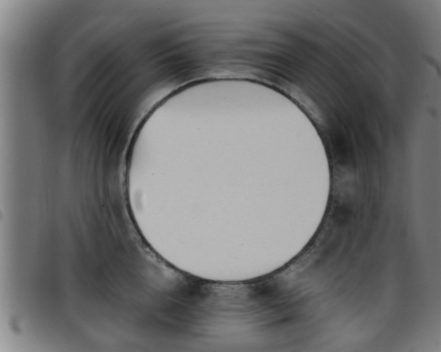 X0000096380856200801311257