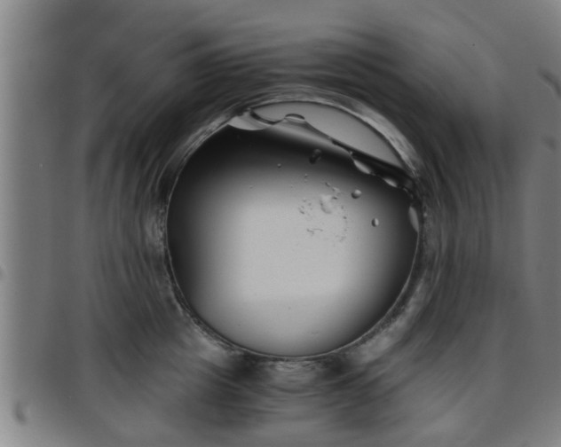 X0000096380857200801311257