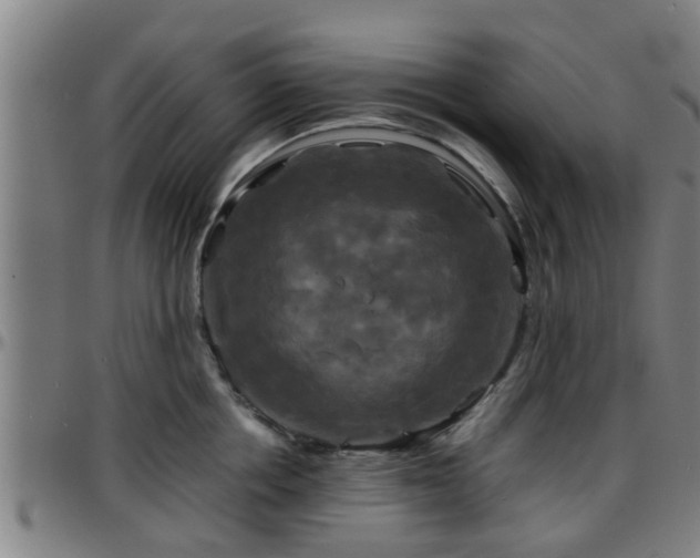 X0000096380858200801311257