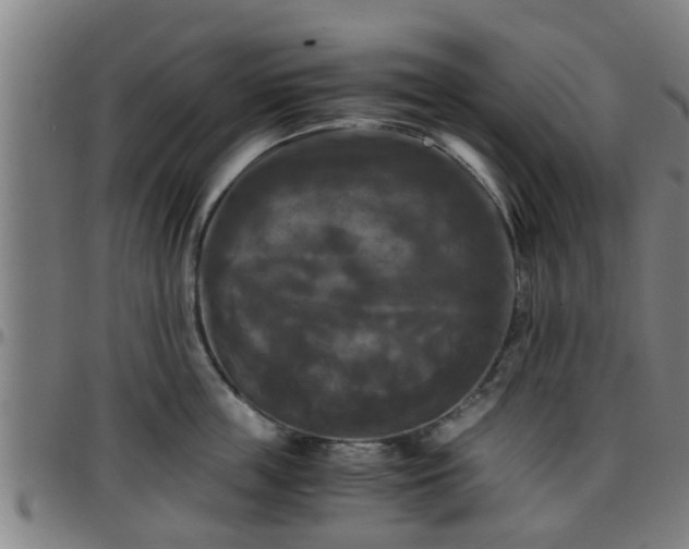 X0000096380859200801311258