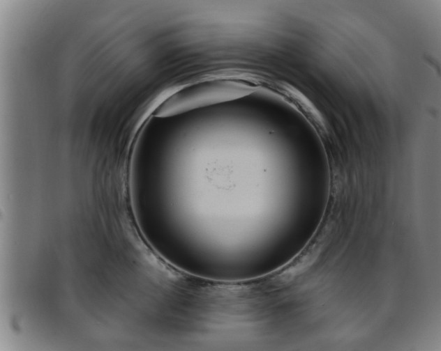 X0000096380860200801311258