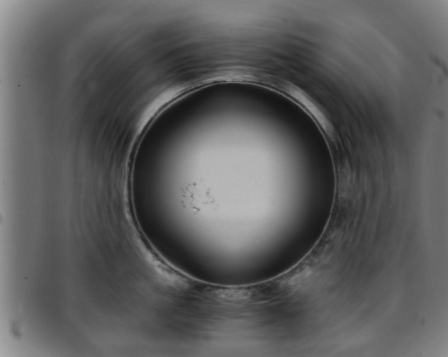 X0000096380861200801311258