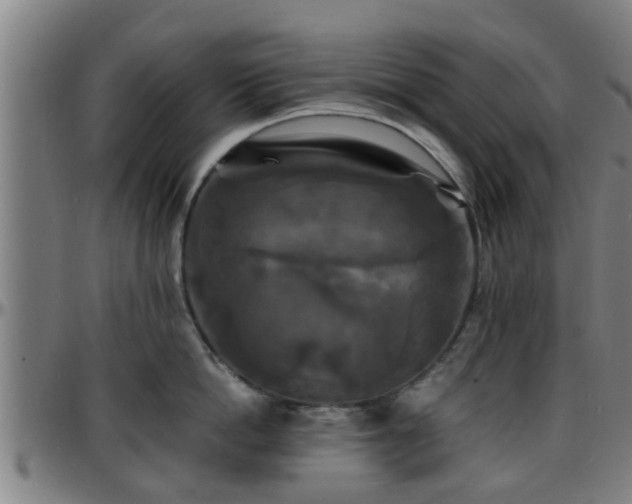 X0000096380862200801311258