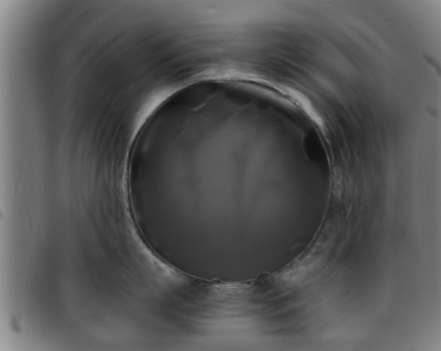 X0000096380863200801311258