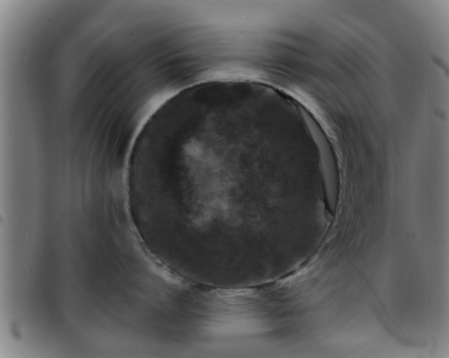 X0000096380864200801311258