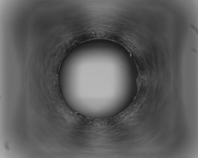 X0000096380865200801311257