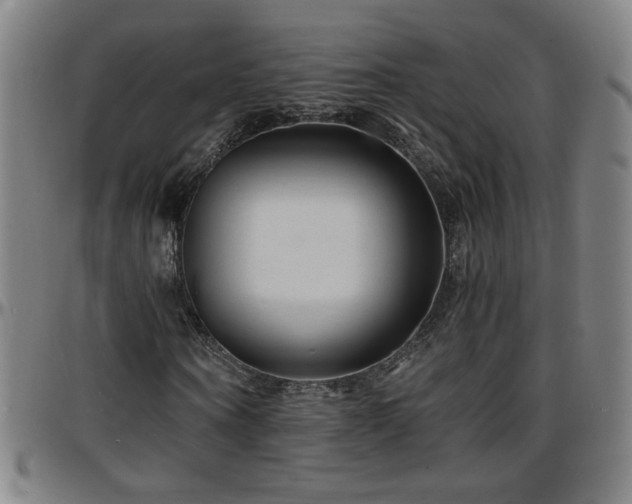 X0000096380866200801311257