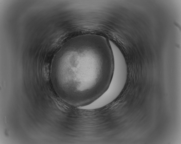 X0000096380868200801311257