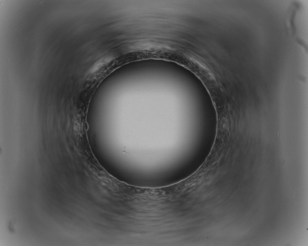 X0000096380869200801311257