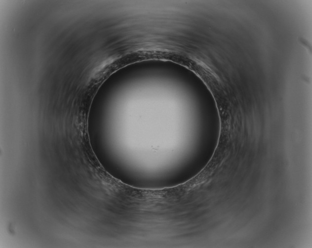 X0000096380870200801311257