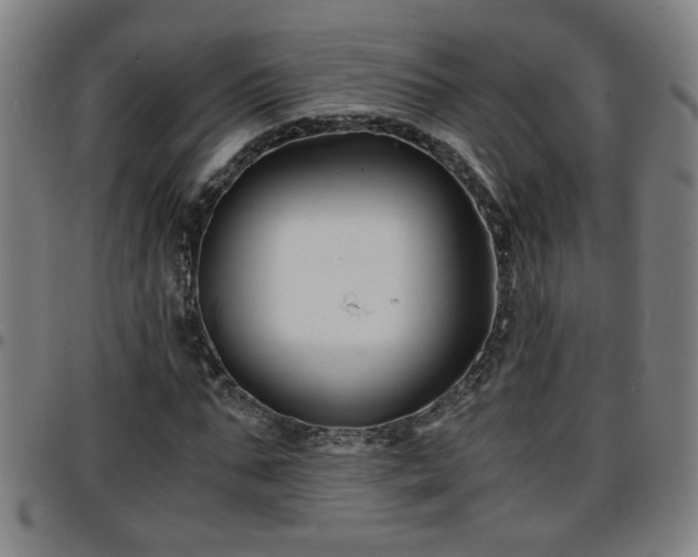X0000096380871200801311257