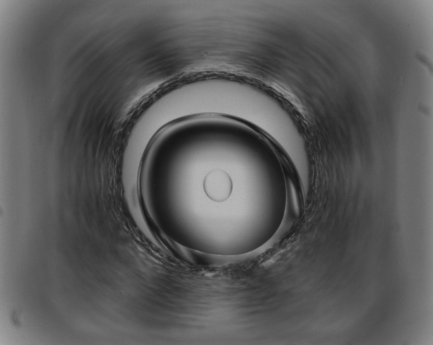 X0000096380872200801311257