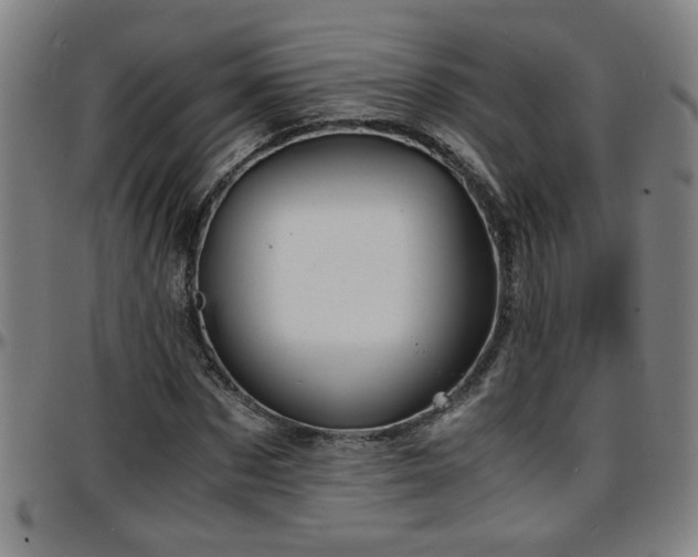 X0000096380873200801311257