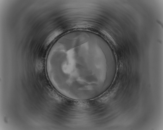 X0000096380874200801311257