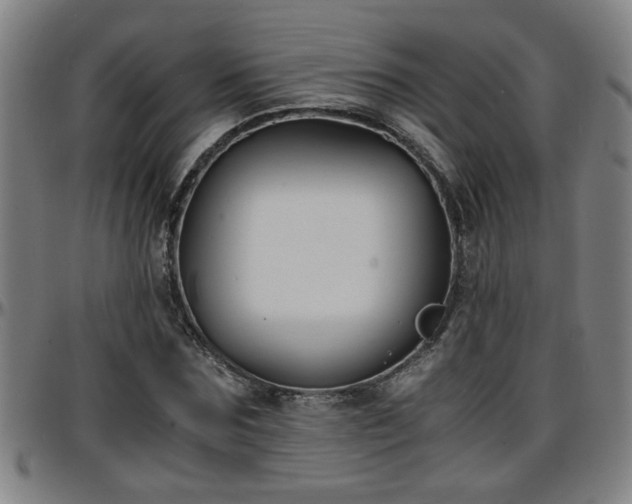 X0000096380875200801311257