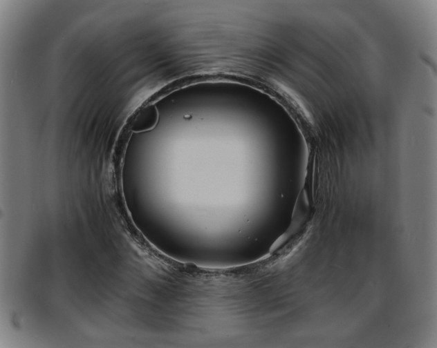 X0000096380876200801311257