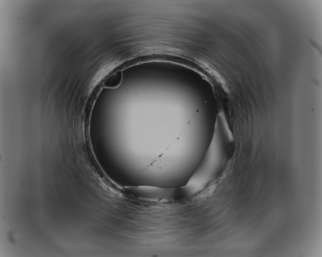 X0000096380877200801311257
