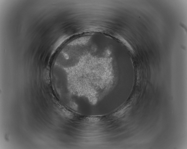 X0000096380878200801311257