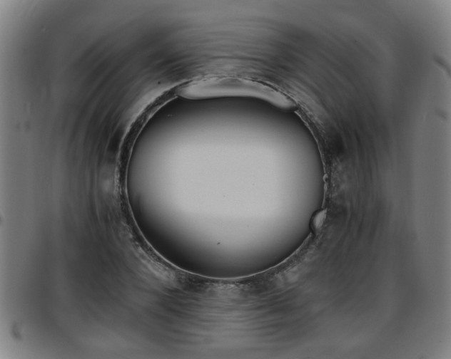 X0000096380880200801311257