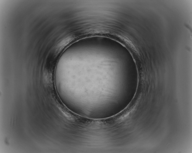 X0000096380881200801311257