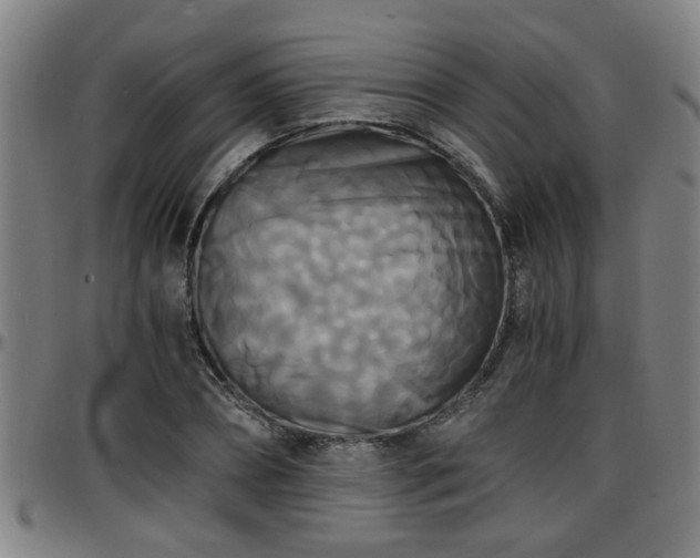 X0000096380882200801311257