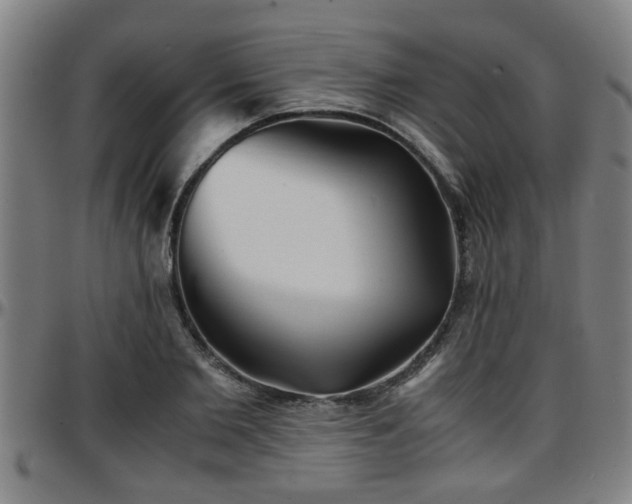 X0000096380885200801311257