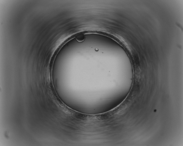 X0000096380887200801311257