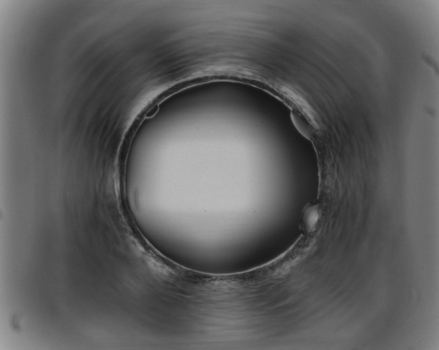 X0000096380888200801311257