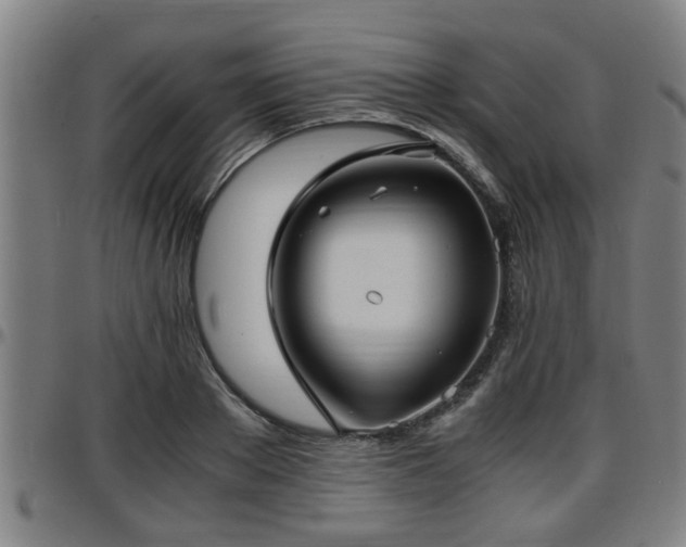 X0000096380889200801311257