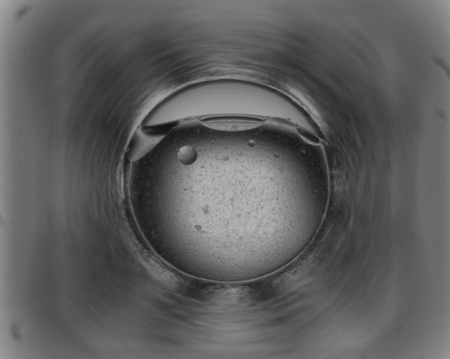 X0000096380891200801311257