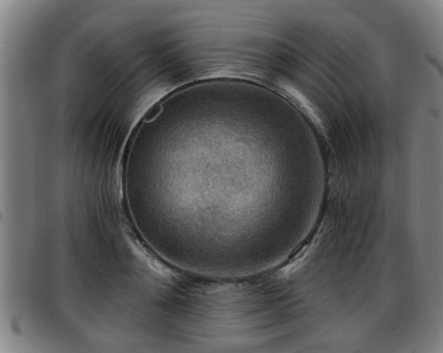 X0000096380892200801311257