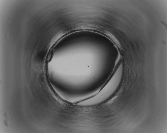 X0000096380893200801311257