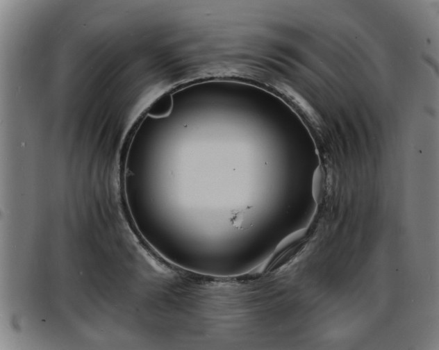 X0000096380894200801311257
