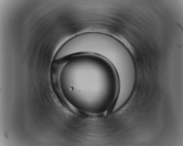X0000096380896200801311257