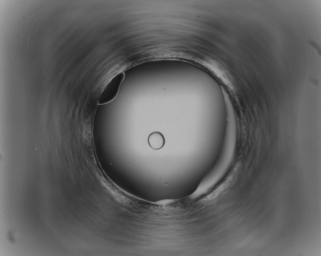 X0000096380897200801311256