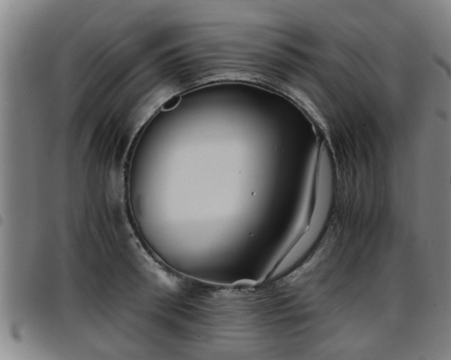 X0000096380898200801311256
