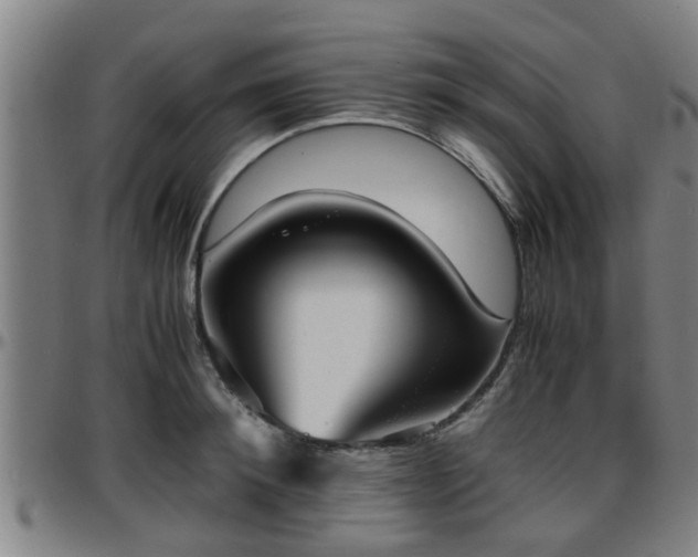 X0000096380900200801311256