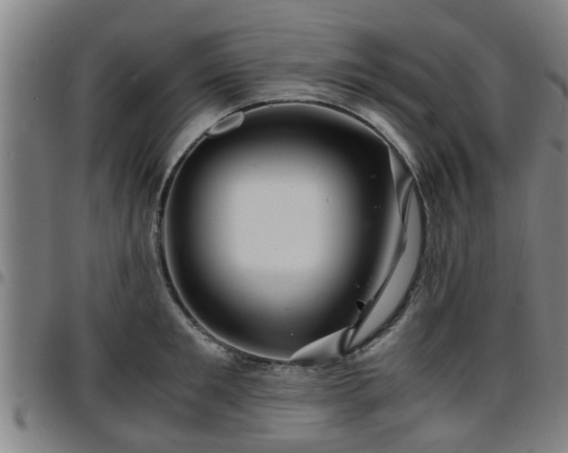 X0000096380901200801311256