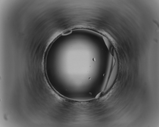 X0000096380902200801311256