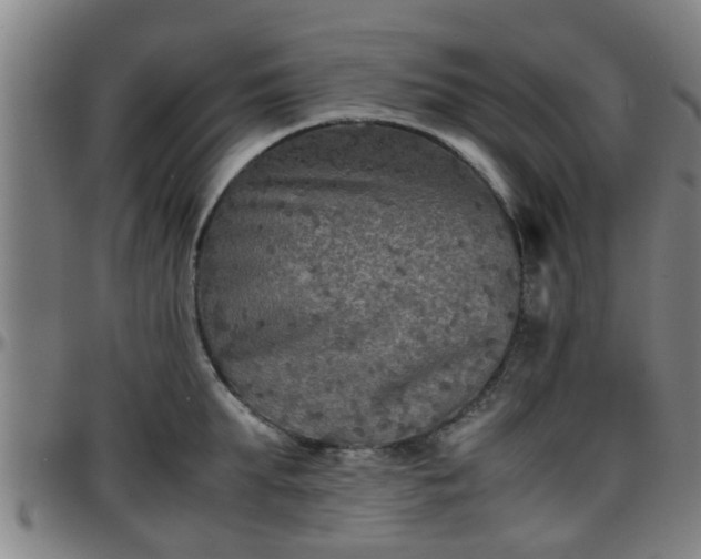 X0000096380903200801311256