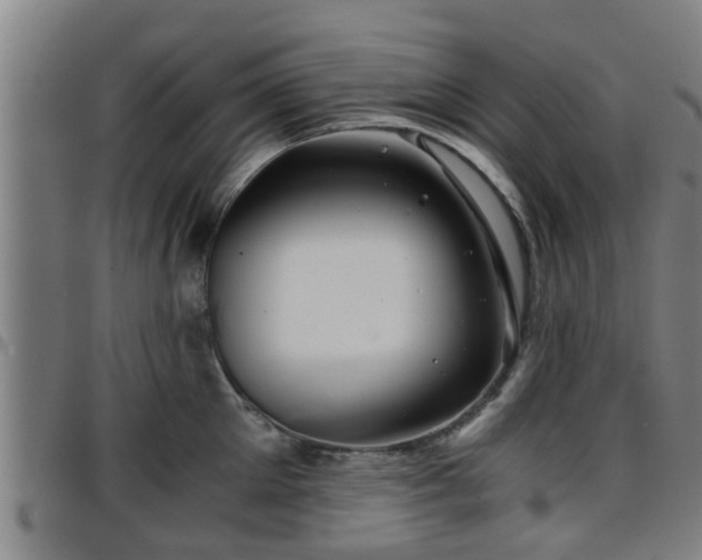 X0000096380905200801311256