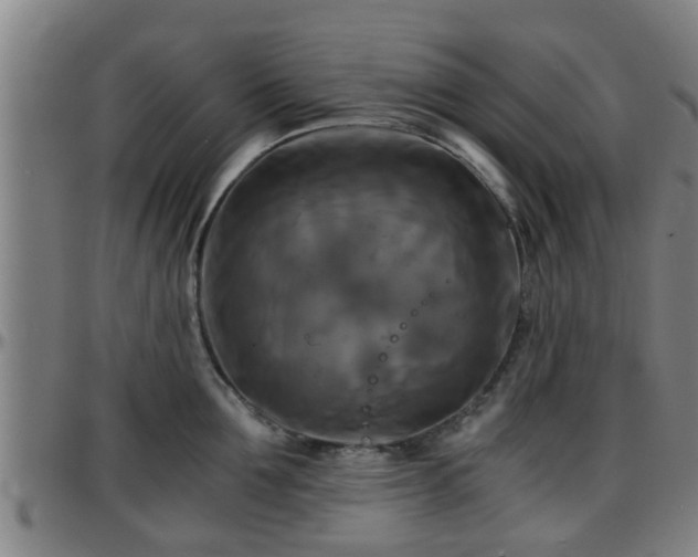 X0000096380907200801311256