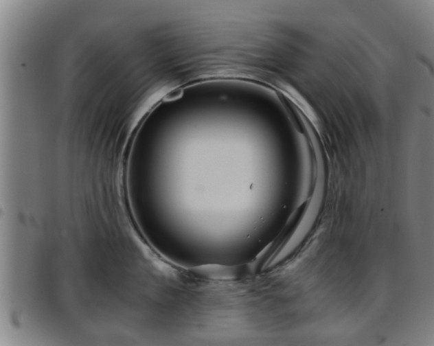 X0000096380909200801311256