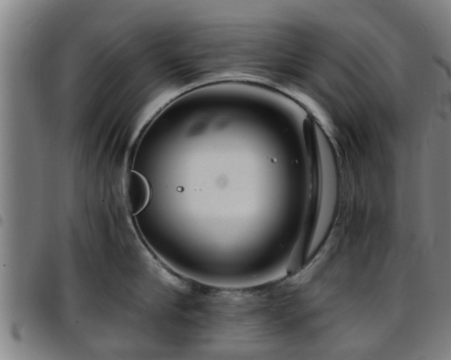 X0000096380910200801311256