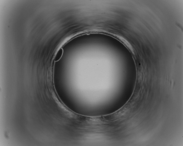 X0000096380911200801311256