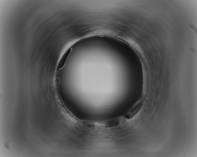 X0000096380912200801311256